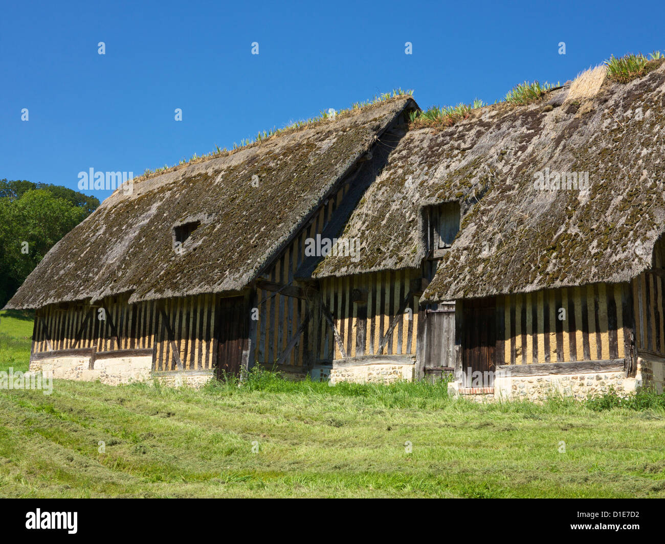 Tipica antica con tetto in paglia e legno della metà degli edifici agricoli in un prato, Pierrefitte En Auge, Calvados, Normandia, Francia, Europa Foto Stock