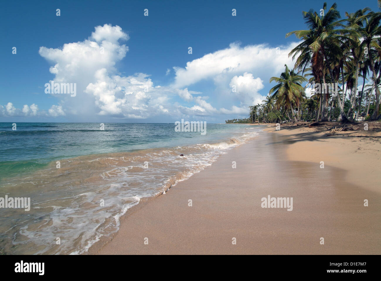 Playa Portillo, Las Terrenas, Samana Repubblica Dominicana, West Indies, dei Caraibi e America centrale Foto Stock