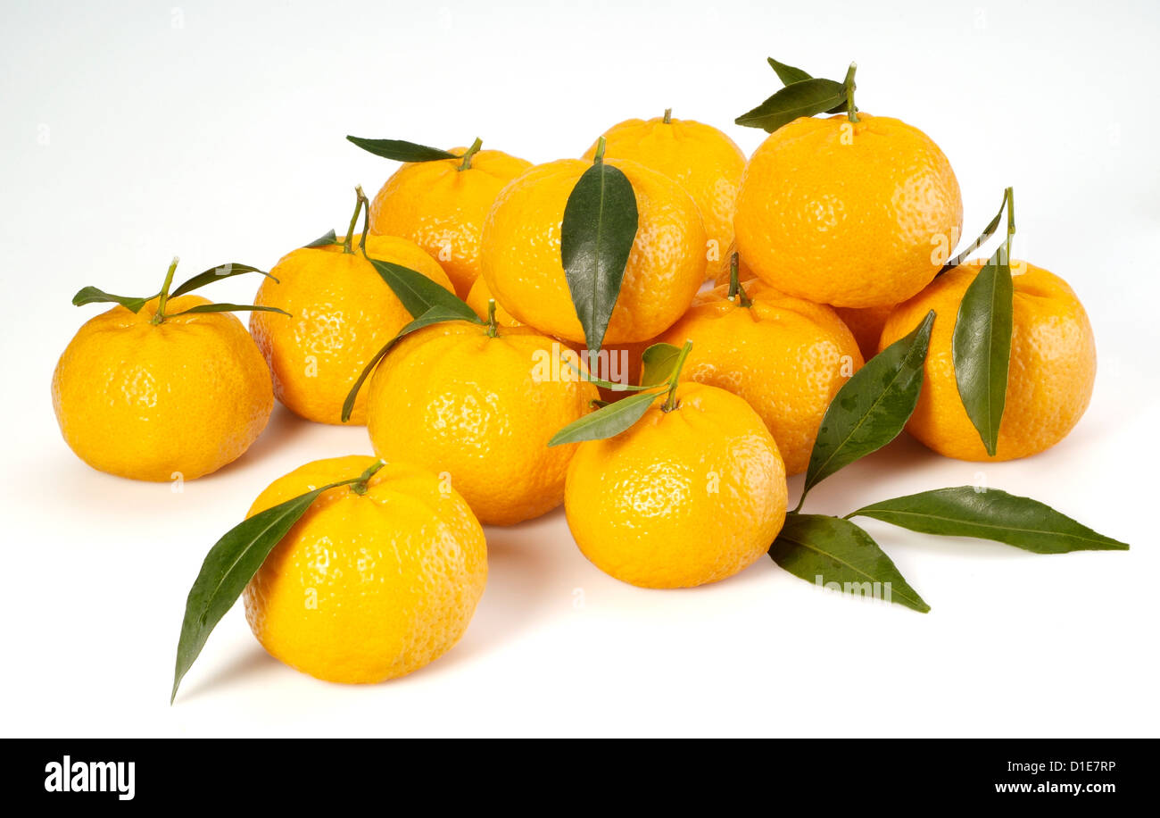 Mandarini Foto Stock