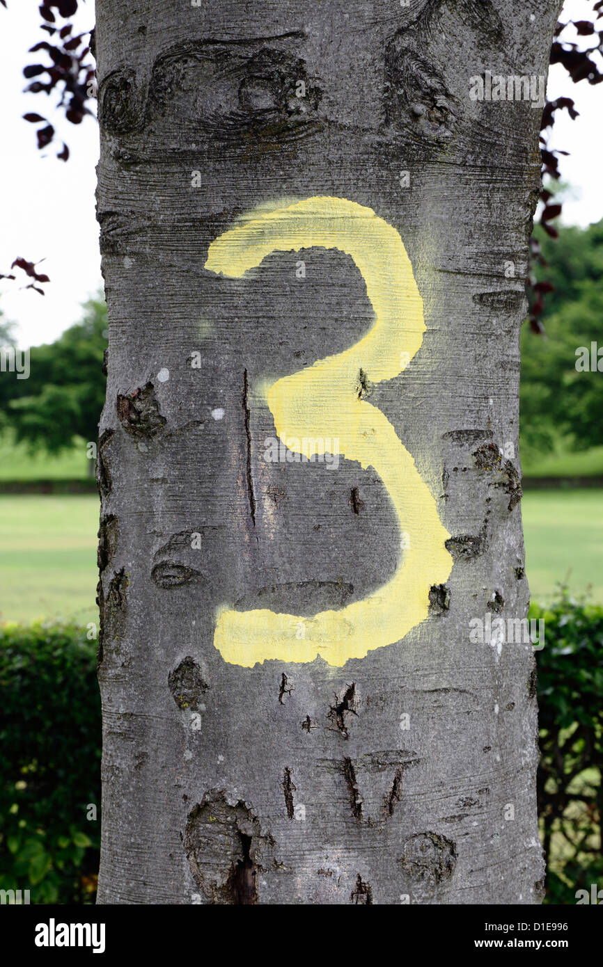 Numero tre su una mano di albero dipinta in giallo su un tronco di albero, Regno Unito Foto Stock