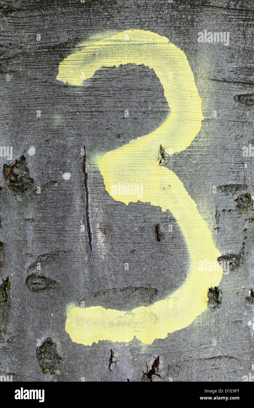 Numero tre su una mano di albero dipinta in giallo su un tronco di albero, Regno Unito Foto Stock