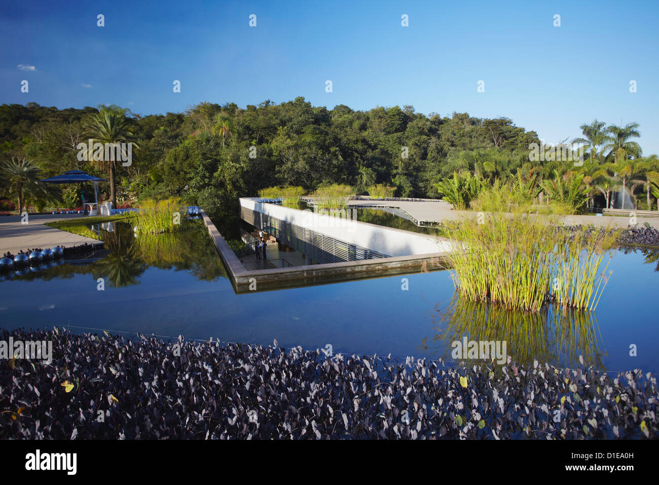 Arte moderna di Yayoi Kusama al Centro de Arte Contemporanea Inhotim, Brumadinho, Belo Horizonte, Minas Gerais, Brasile Foto Stock