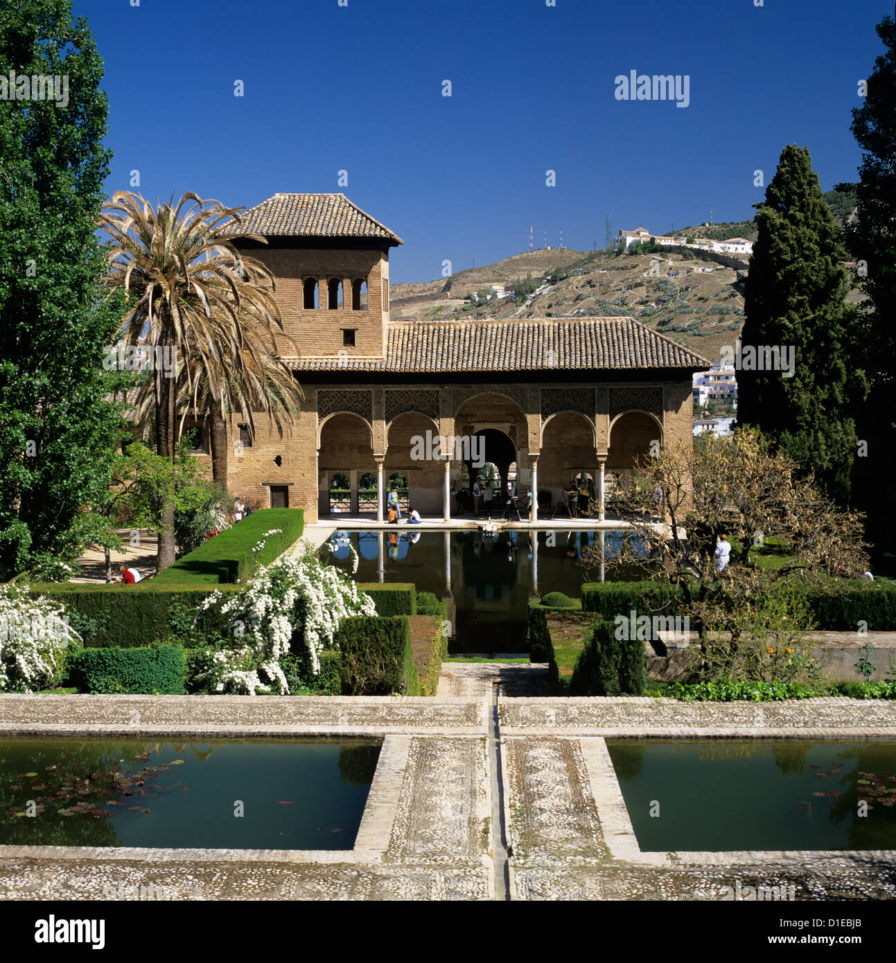 Vista sui giardini, Alhambra Palace, sito Patrimonio Mondiale dell'UNESCO, Granada, Andalusia, Spagna, Europa Foto Stock
