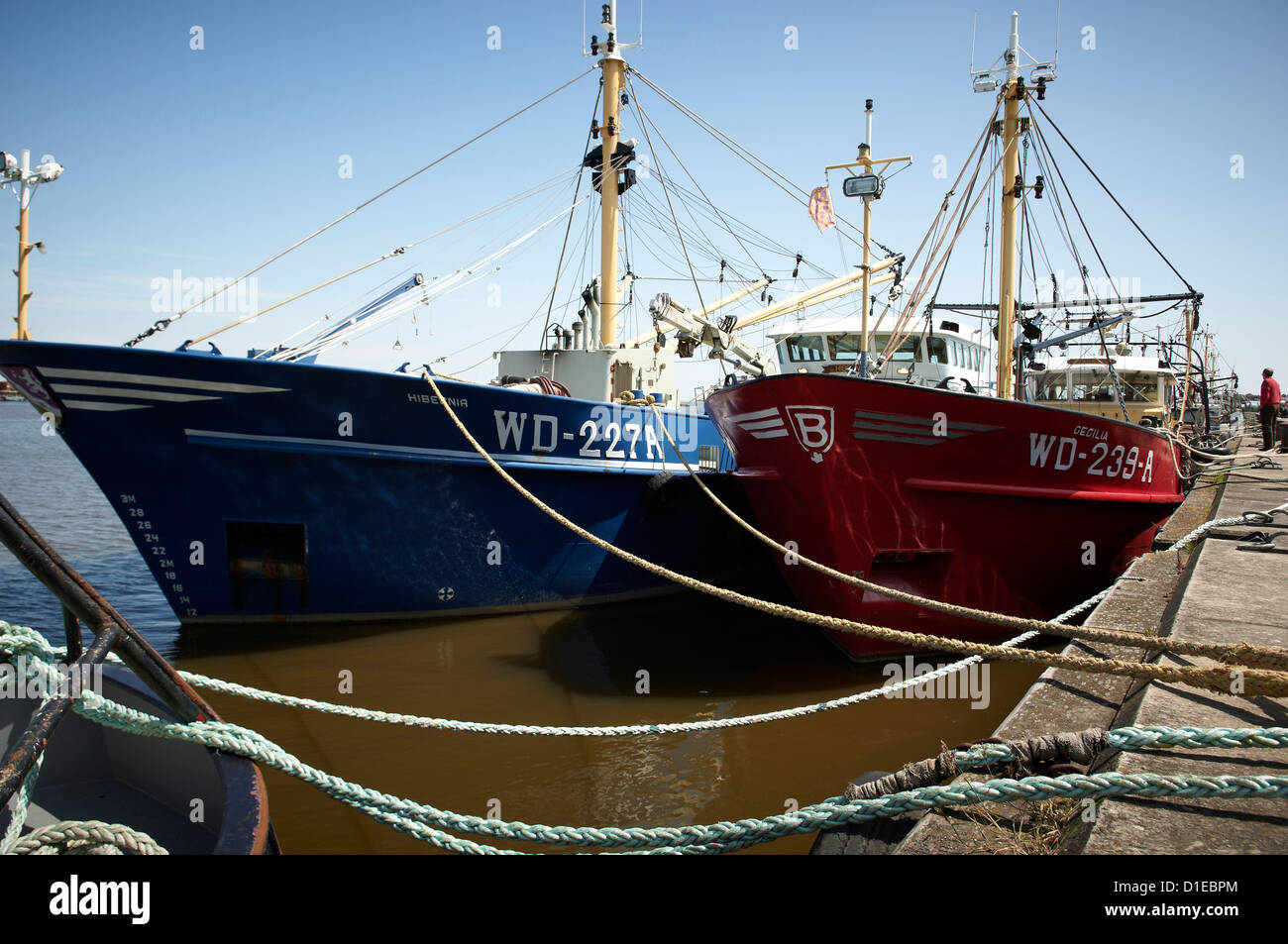 La flotta di pesca, Wexford, Leinster, Repubblica di Irlanda, Europa Foto Stock