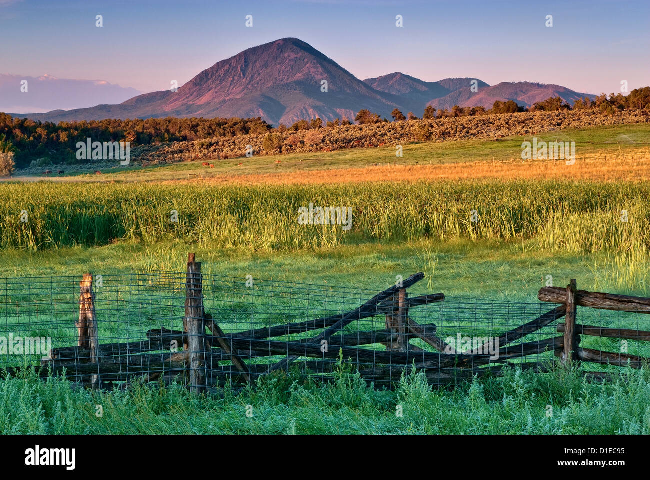 Sleeping Ute picco, Weeminuche Indian montagna sacra, visto all'alba su campi nei pressi di Cortez, Colorado, STATI UNITI D'AMERICA Foto Stock