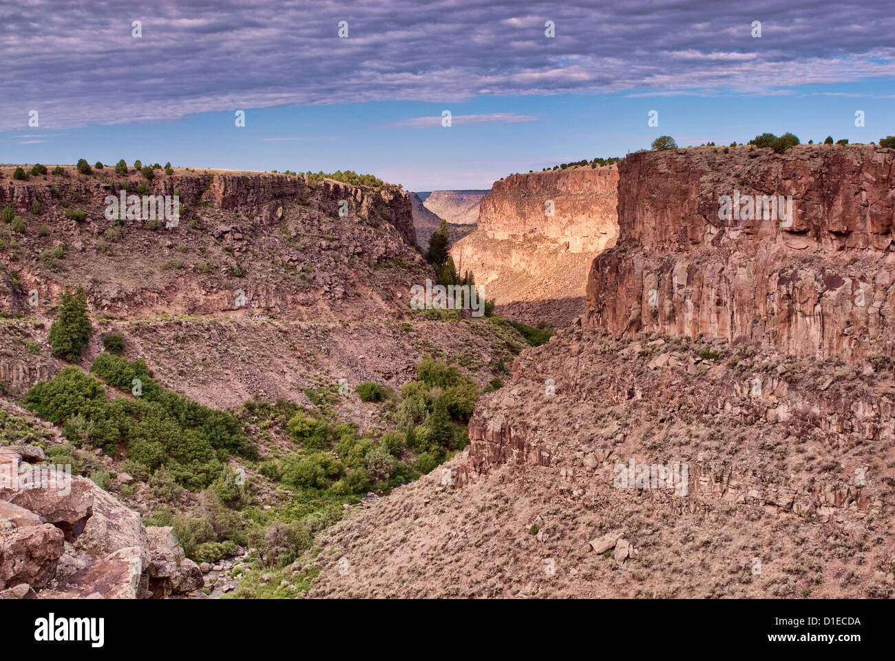 Rio Grande Gorge vicino a Taos, Nuovo Messico, STATI UNITI D'AMERICA Foto Stock