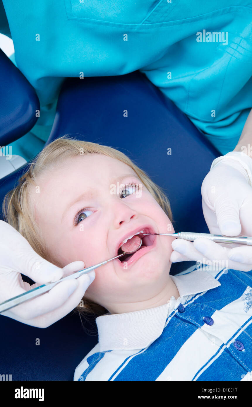 Un dentista esaminando un capretto con strumenti specializzati Foto Stock