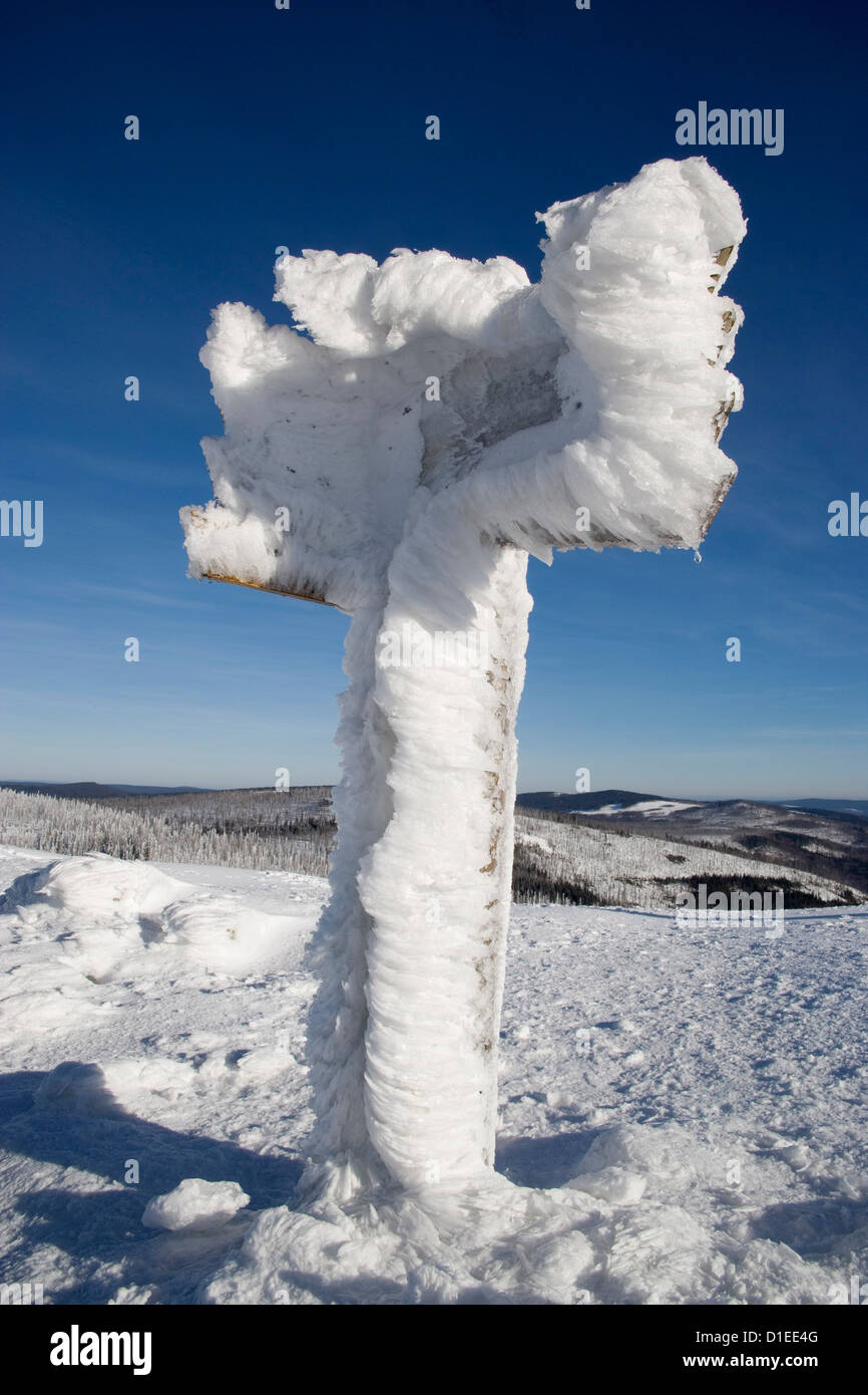 Inverno in Bavarian National Park, Germania Foto Stock