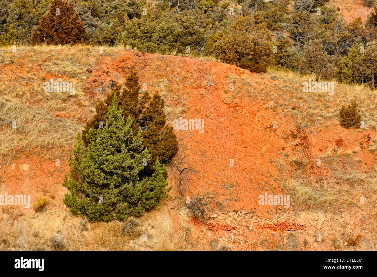 Badlands paesaggio con le scorie bluffs, Theodore Roosevelt NP (Sud), il Dakota del Nord, STATI UNITI D'AMERICA Foto Stock