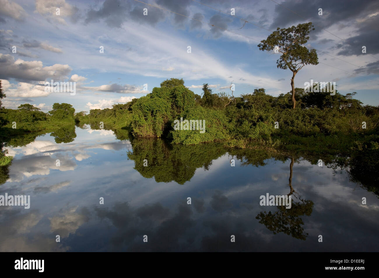 Pantanal, la più grande zona umida, Brasile, Sud America Foto Stock