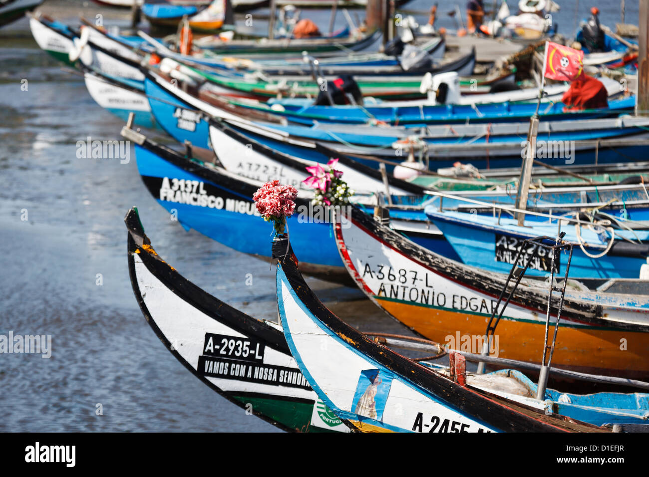 Le prua colorate della flotta di pescatori dei moliceiros alla fine della giornata sono legate a un molo della comunità con la bassa marea Foto Stock