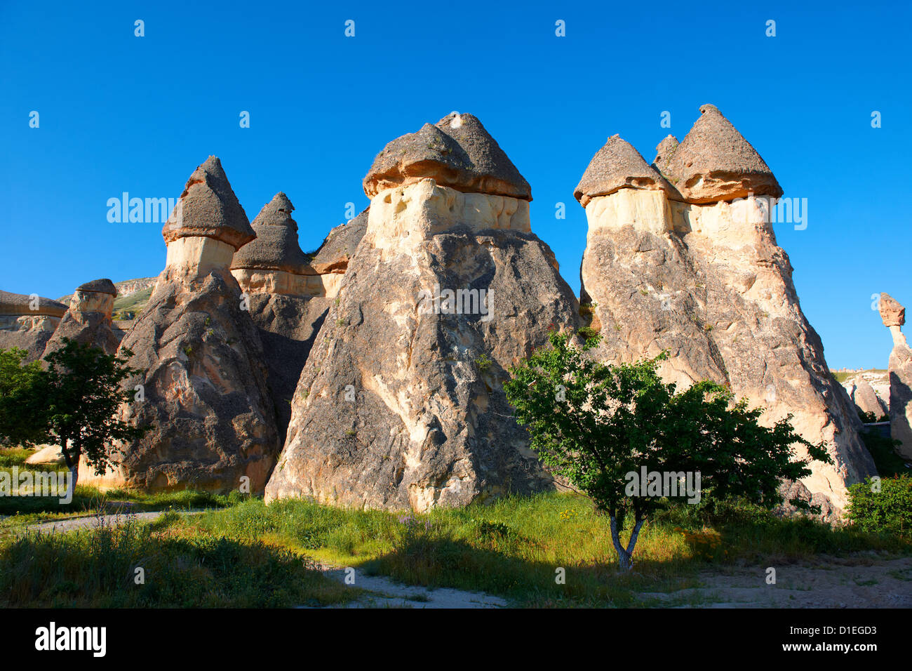Ciuffo vulcanica formazioni rocciose Cappadocia Turchia Foto Stock