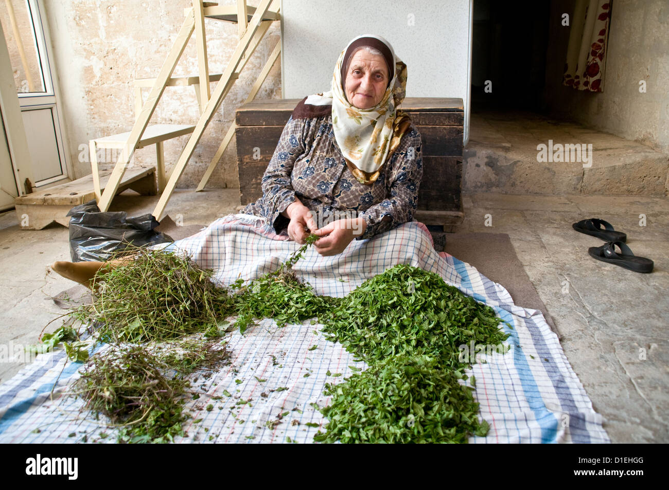 Una donna araba turca strip le foglie di menta dai loro gambi nella città di Savur, in Turin Abdin, nella regione dell'Anatolia orientale, nella Turchia sudorientale. Foto Stock