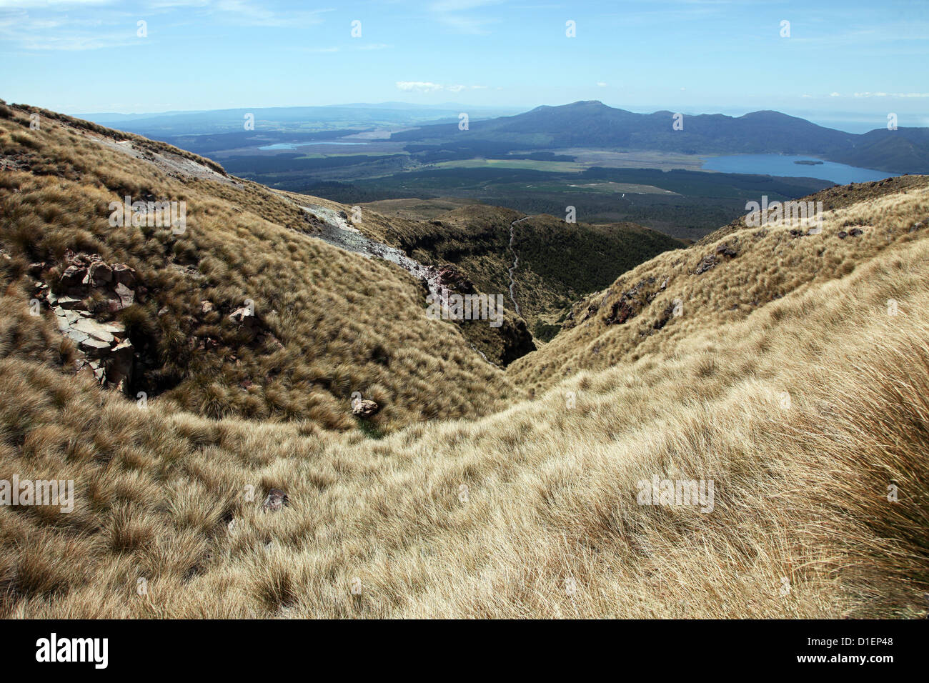 Montare Tongariro complesso vulcanico, Isola del nord, Nuova Zelanda Foto Stock