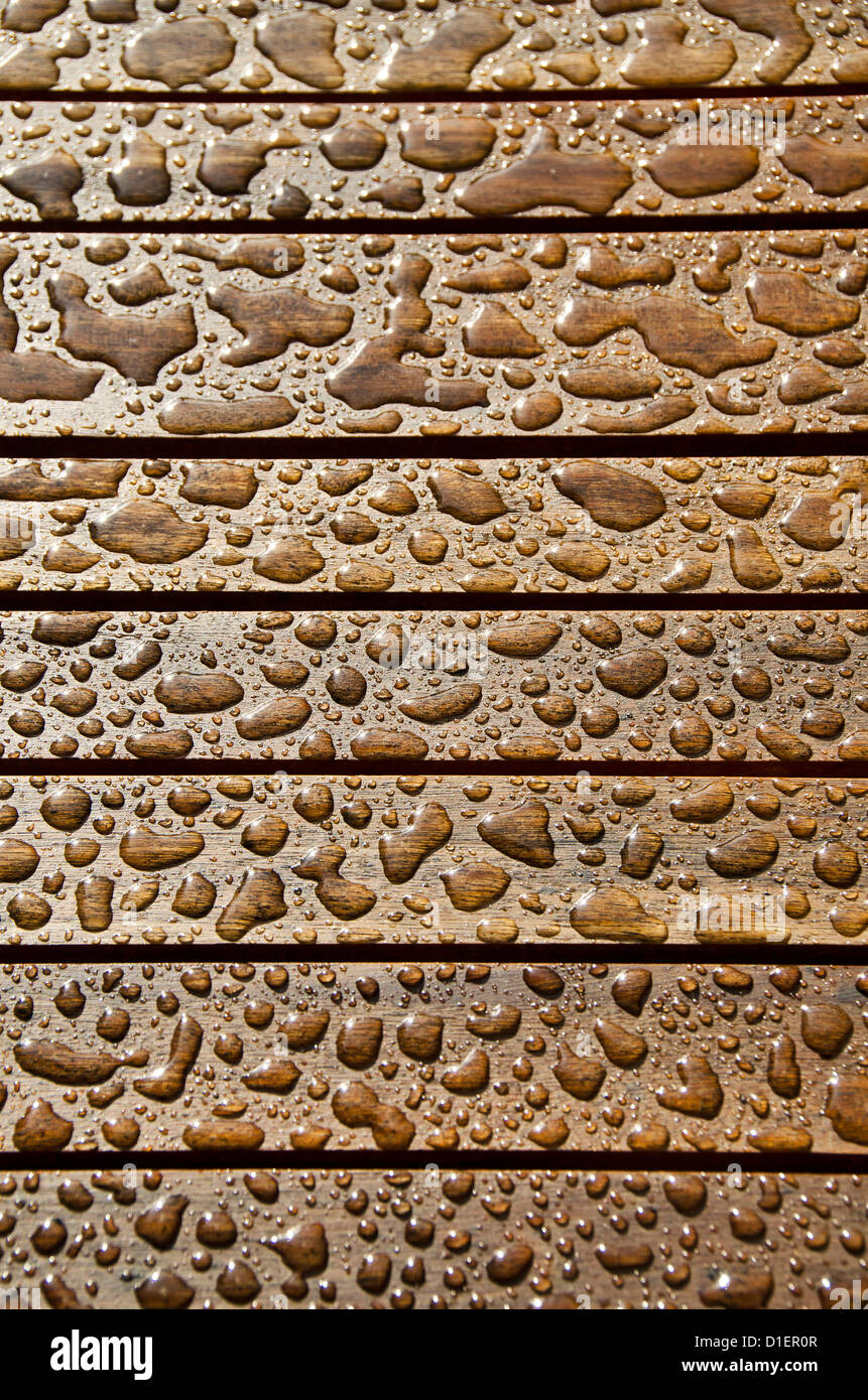 Gocce di pioggia su legno di teak Foto Stock