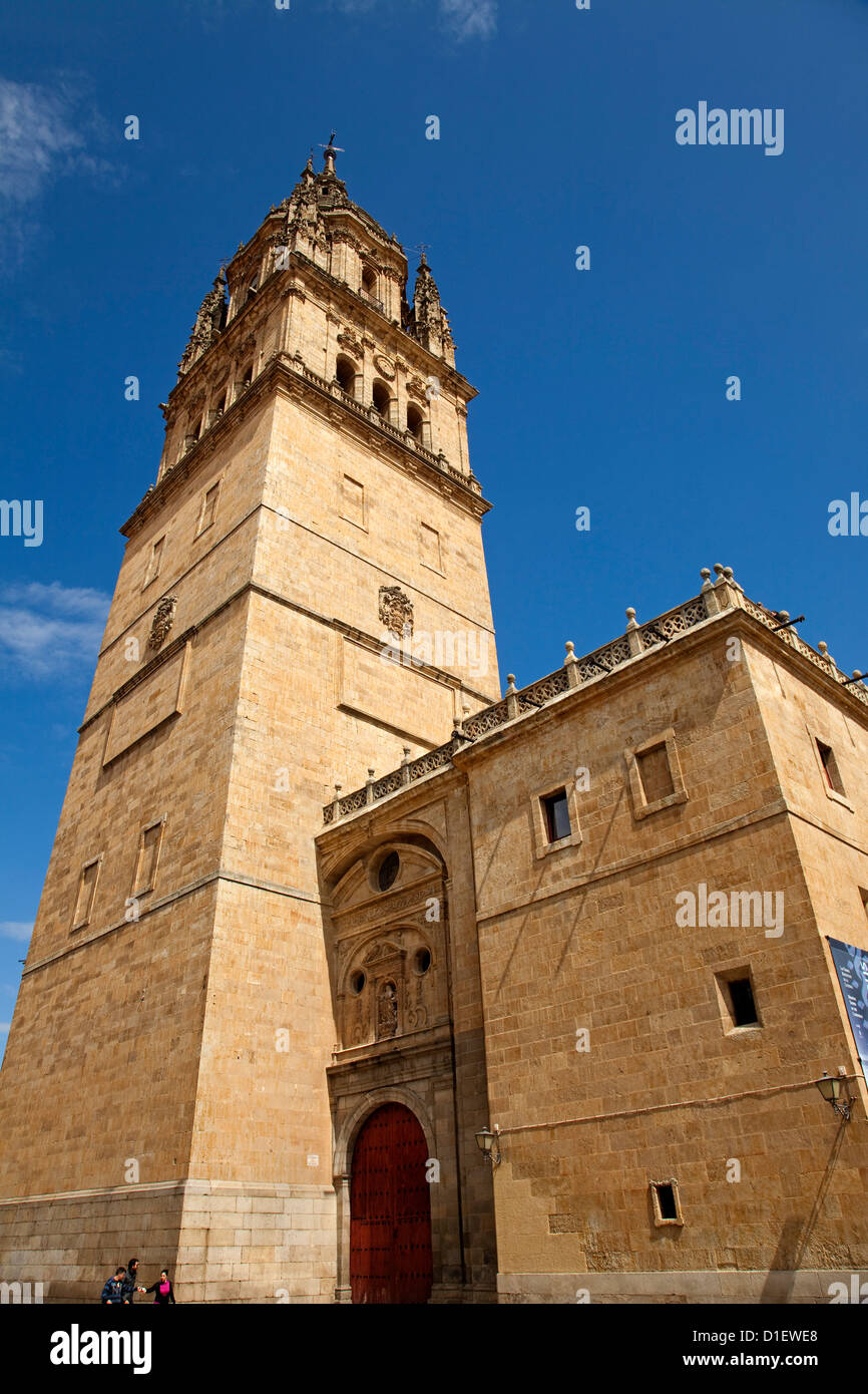 Torri della cattedrale Salamanca Castiglia e Leon Spagna Foto Stock