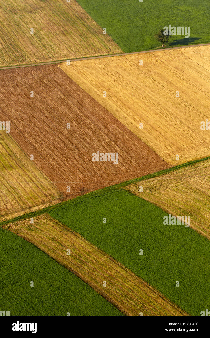 Campi arati, cornfields e il percorso, la fotografia aerea Foto Stock