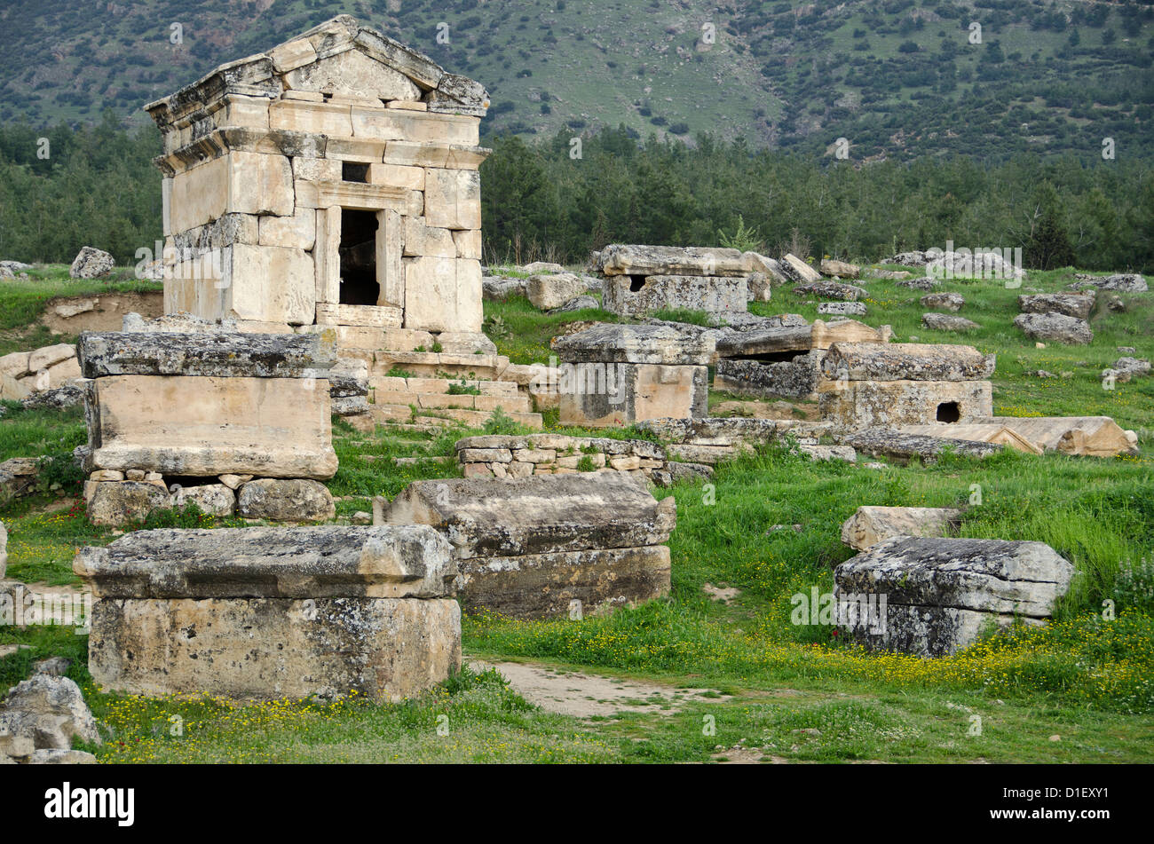 Scavo di sito di Hierapolis, Turchia Foto Stock