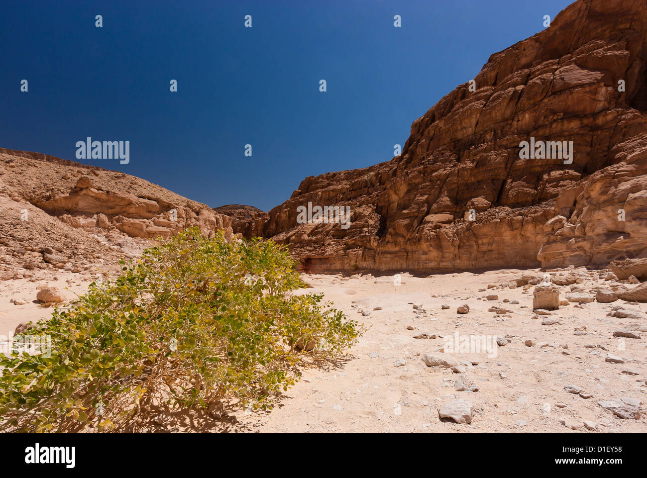 Una piccola bussola afferra la vita in una remota montuoso deserto sabbioso Foto Stock