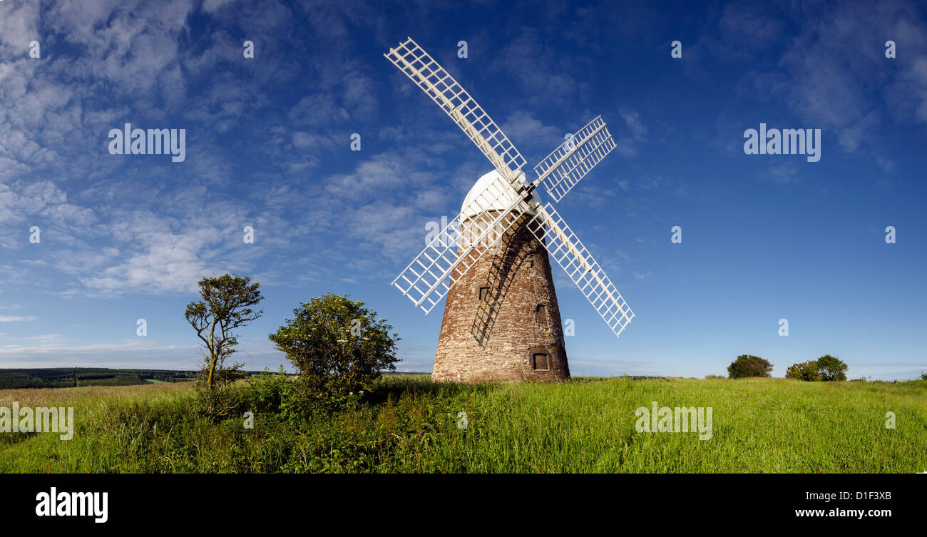 Panorama del mulino a vento Halnaker, una piastrella appesa brick tower mill costruito nel 1750 Foto Stock