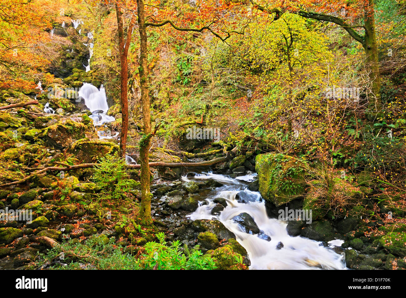 Lodore Falls, Lake District, Cumbria, England, Regno Unito Foto Stock