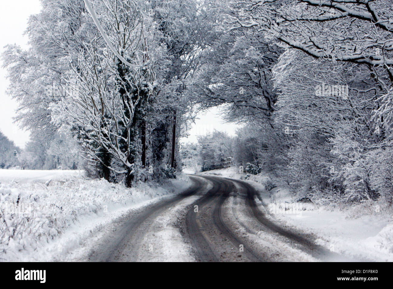 05.02.2012 La neve sulle strade di campagna in Essex Foto James Galvin Foto Stock