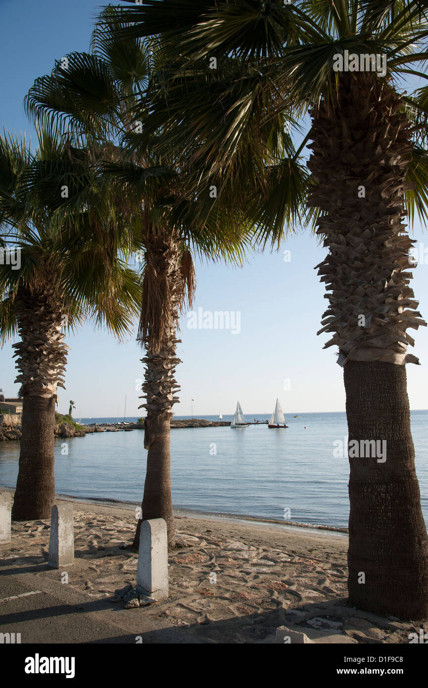 Area di spiaggia a Ormideia vicino al Sovereign Base Area Larnaka Cipro Foto Stock