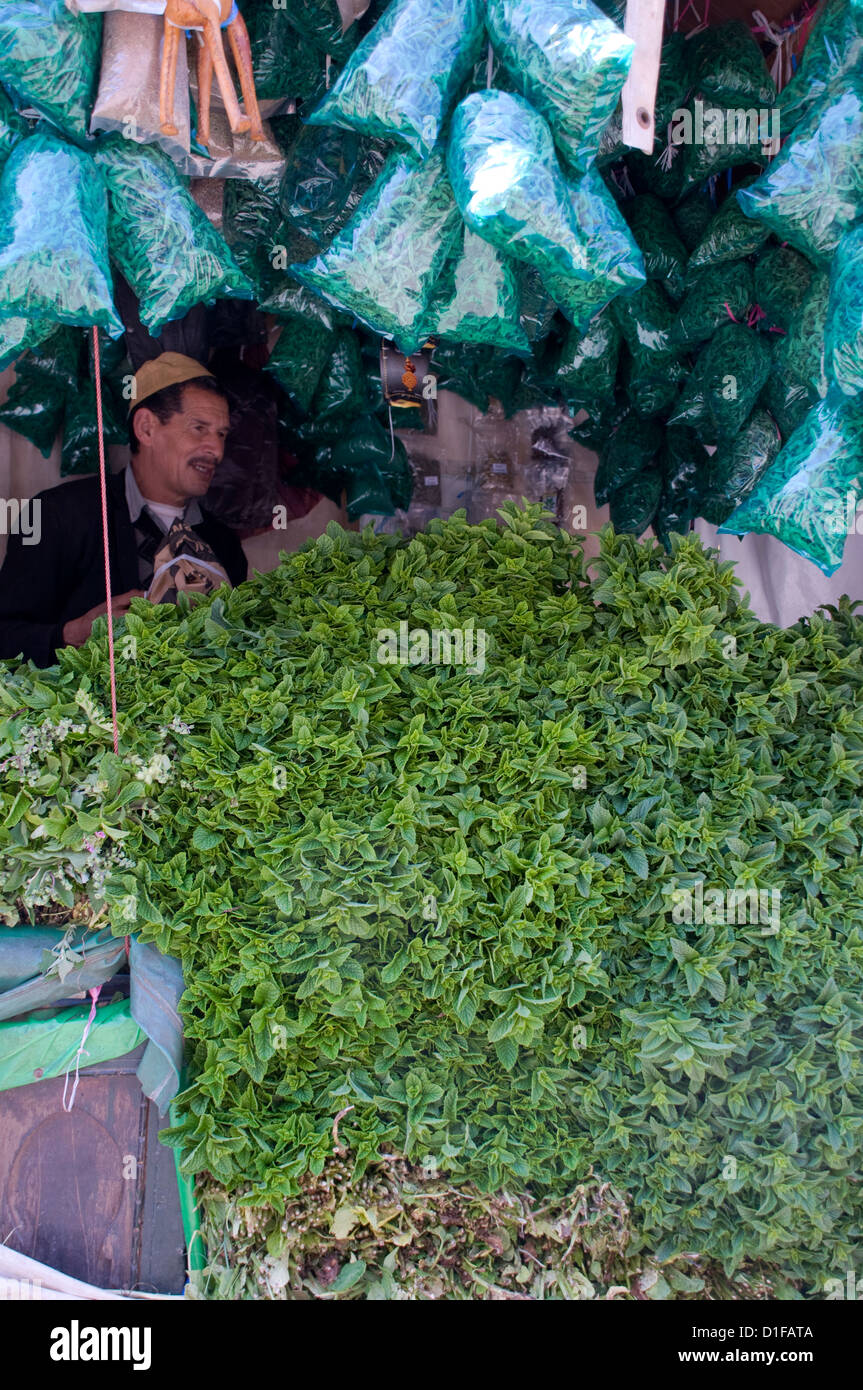 Una fase di stallo con pali di menta fresca per la vendita nella piazza principale (Piazza Jemaa El Fna a Marrakech, Marocco, Africa Settentrionale, Africa Foto Stock