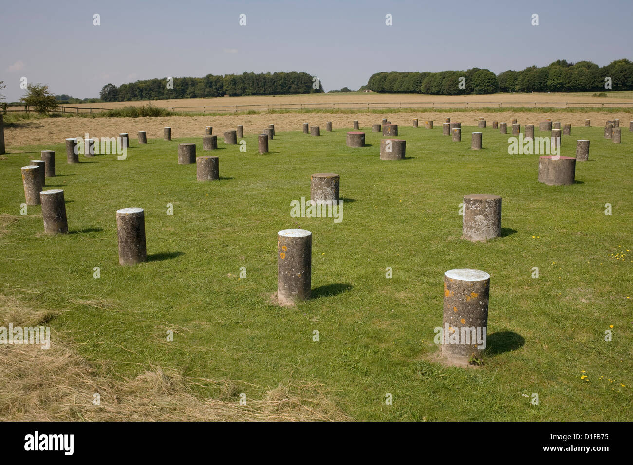 Woodhenge, mostra il design circolare, Amesbury, Wiltshire, Inghilterra, Regno Unito, Europa Foto Stock
