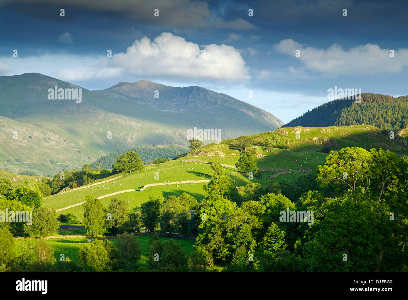 Matterdale comune, nei pressi di Dale fondo, Parco Nazionale del Distretto dei Laghi, Cumbria, England, Regno Unito, Europa Foto Stock