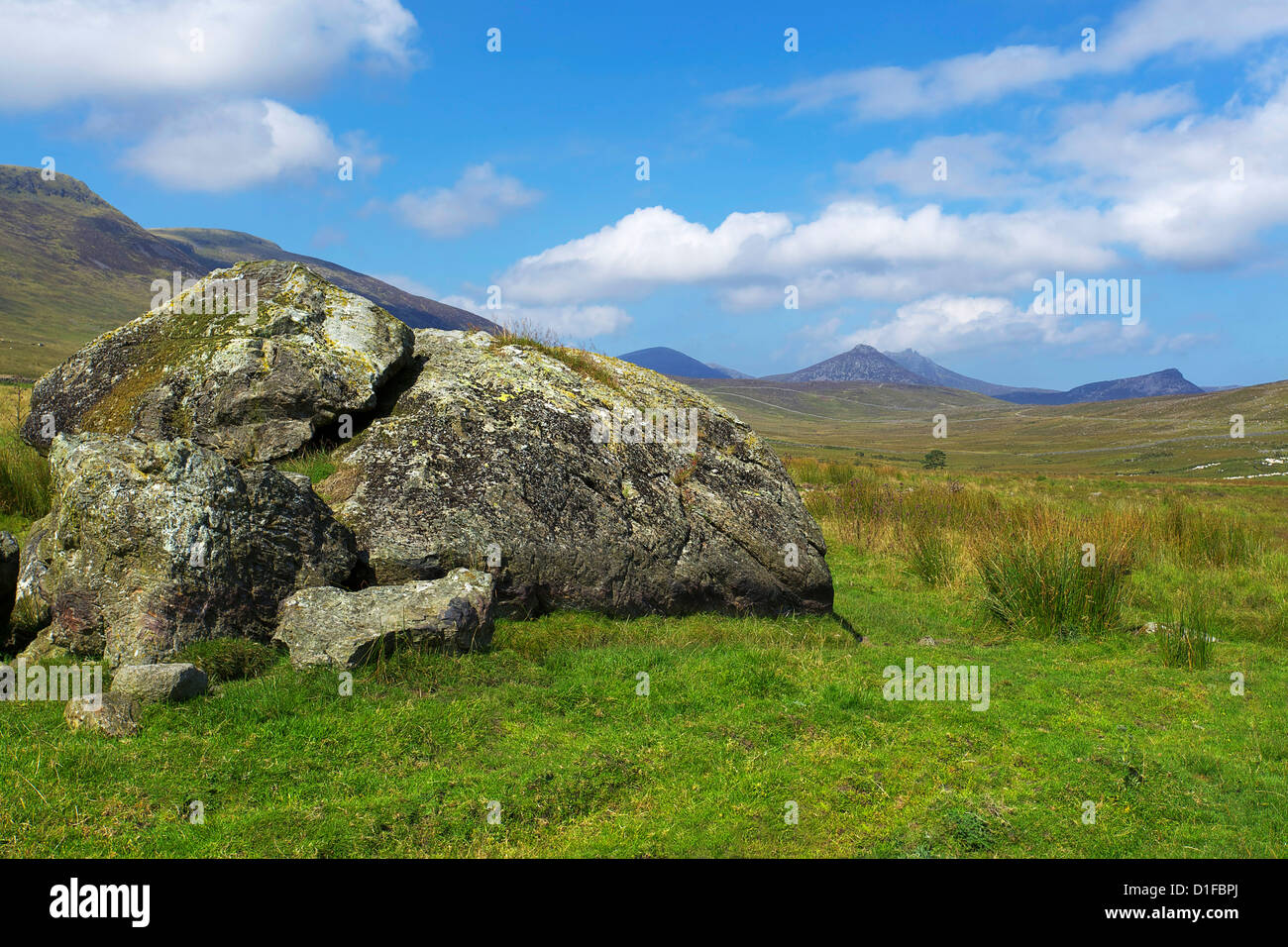 Slieve Muck, Mourne Mountains, County Down, Ulster (Irlanda del Nord, Regno Unito, Europa Foto Stock