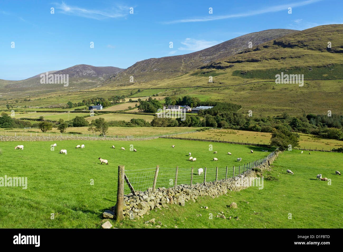 Luca di montagna, Mourne Mountains, County Down, Ulster (Irlanda del Nord, Regno Unito, Europa Foto Stock