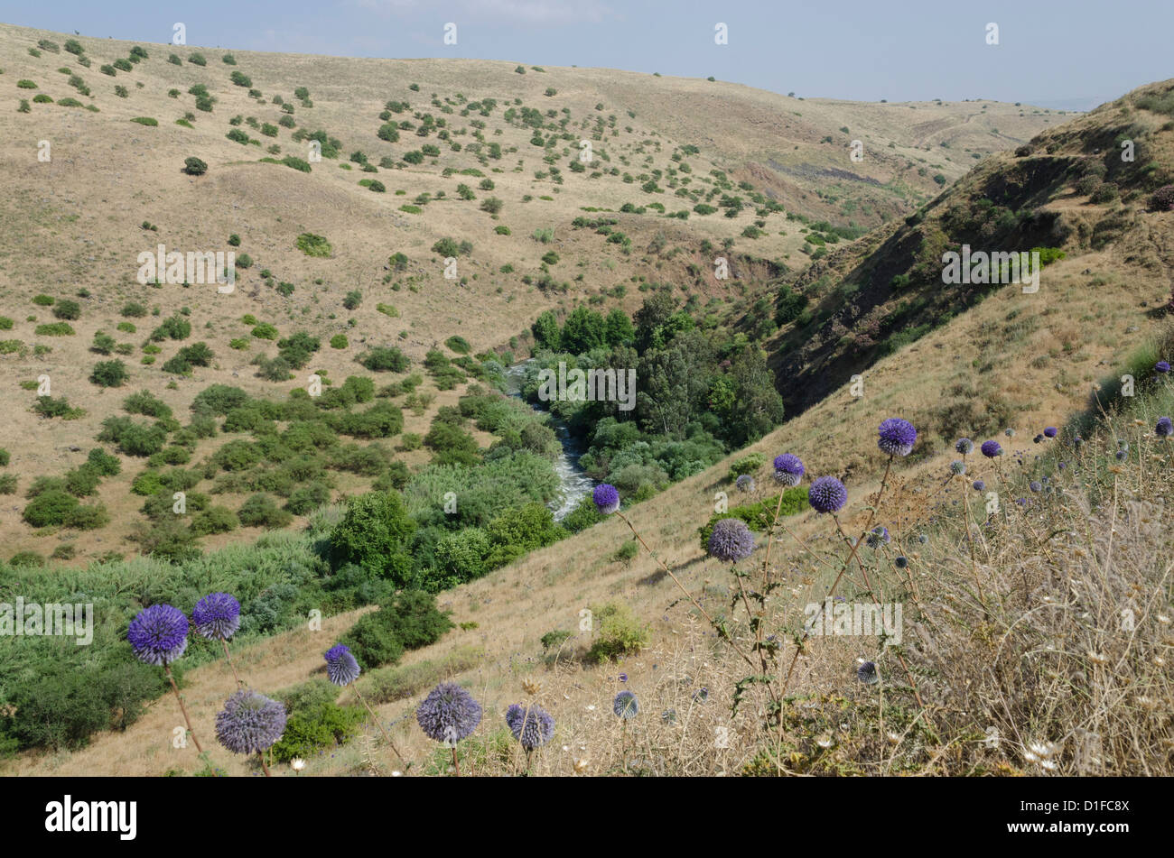 Vista del fiume Giordano da montagna Jordan River trail. Galilea superiore, Israele, Medio Oriente Foto Stock