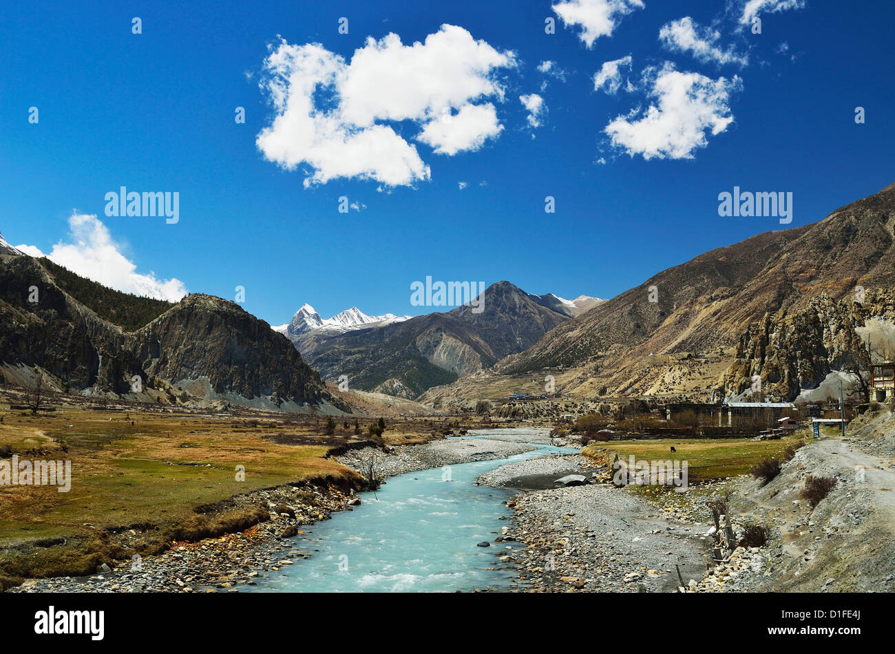 Marsyangdi River Valley, Annapurna Area di Conservazione, Gandaki, Regione Occidentale (Pashchimanchal), Nepal, Asia Foto Stock
