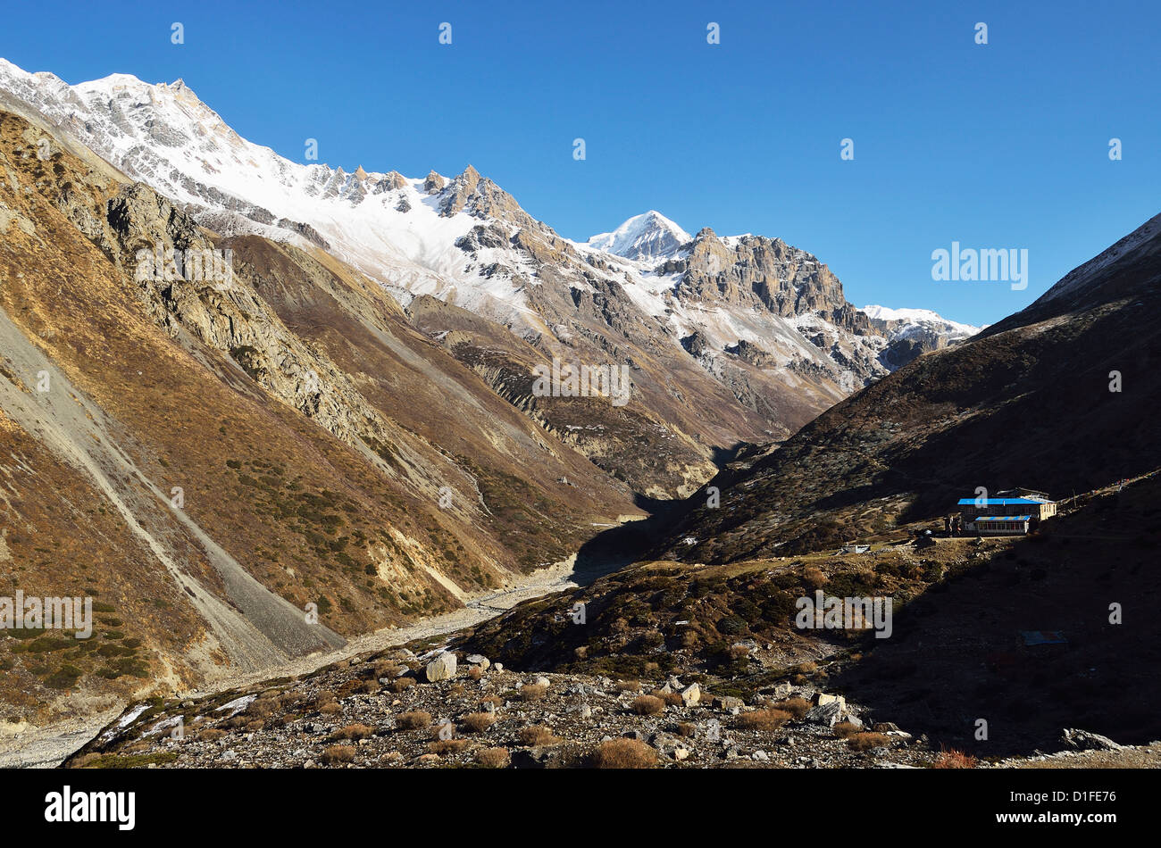 Thorung Khola Valley, Annapurna Area di Conservazione, Gandaki, Regione Occidentale (Pashchimanchal), Nepal, Himalaya, Asia Foto Stock