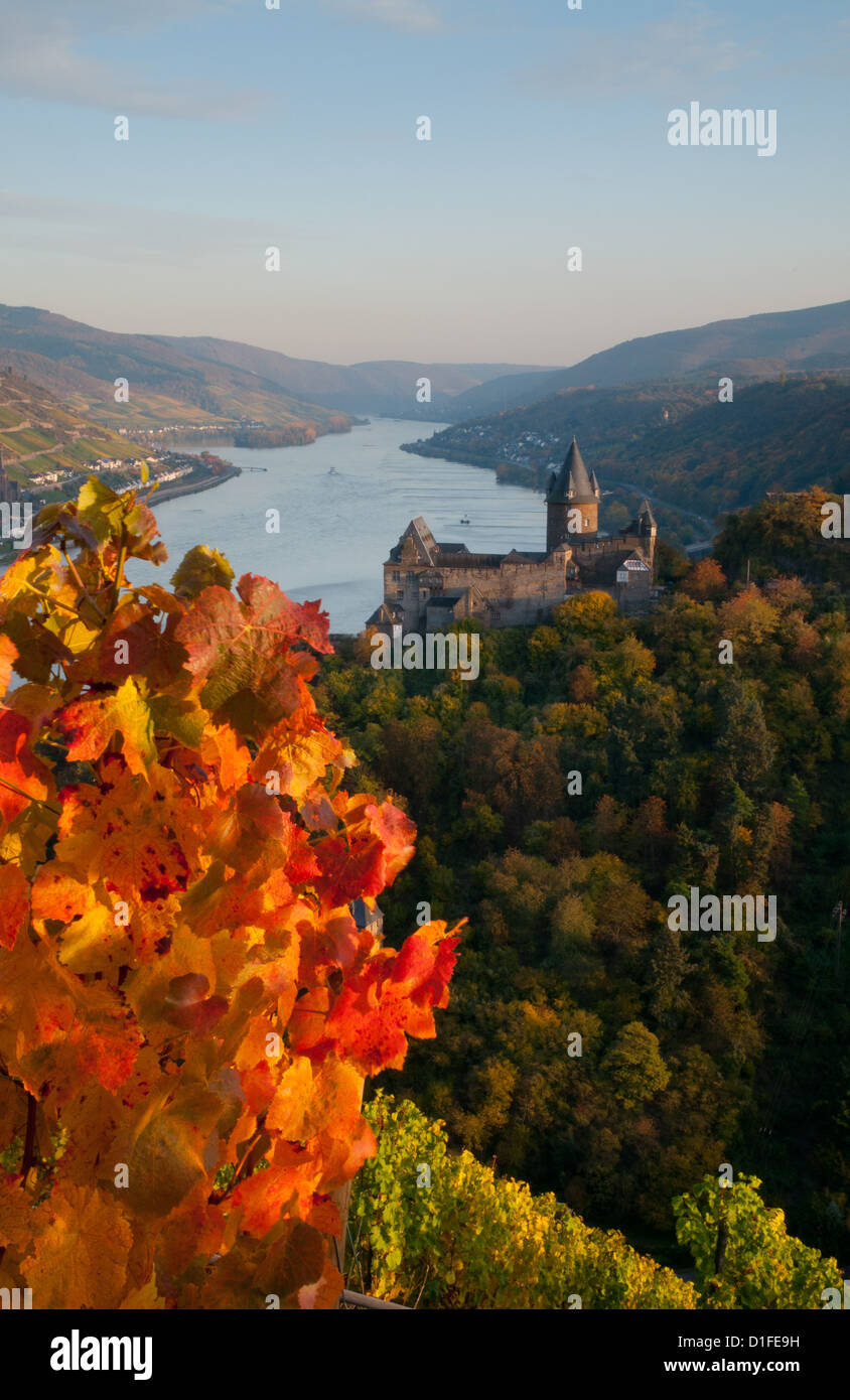 Vitigni di autunno a Burg Stahleck Reno castello, Bacharach, Renania, Germania Foto Stock