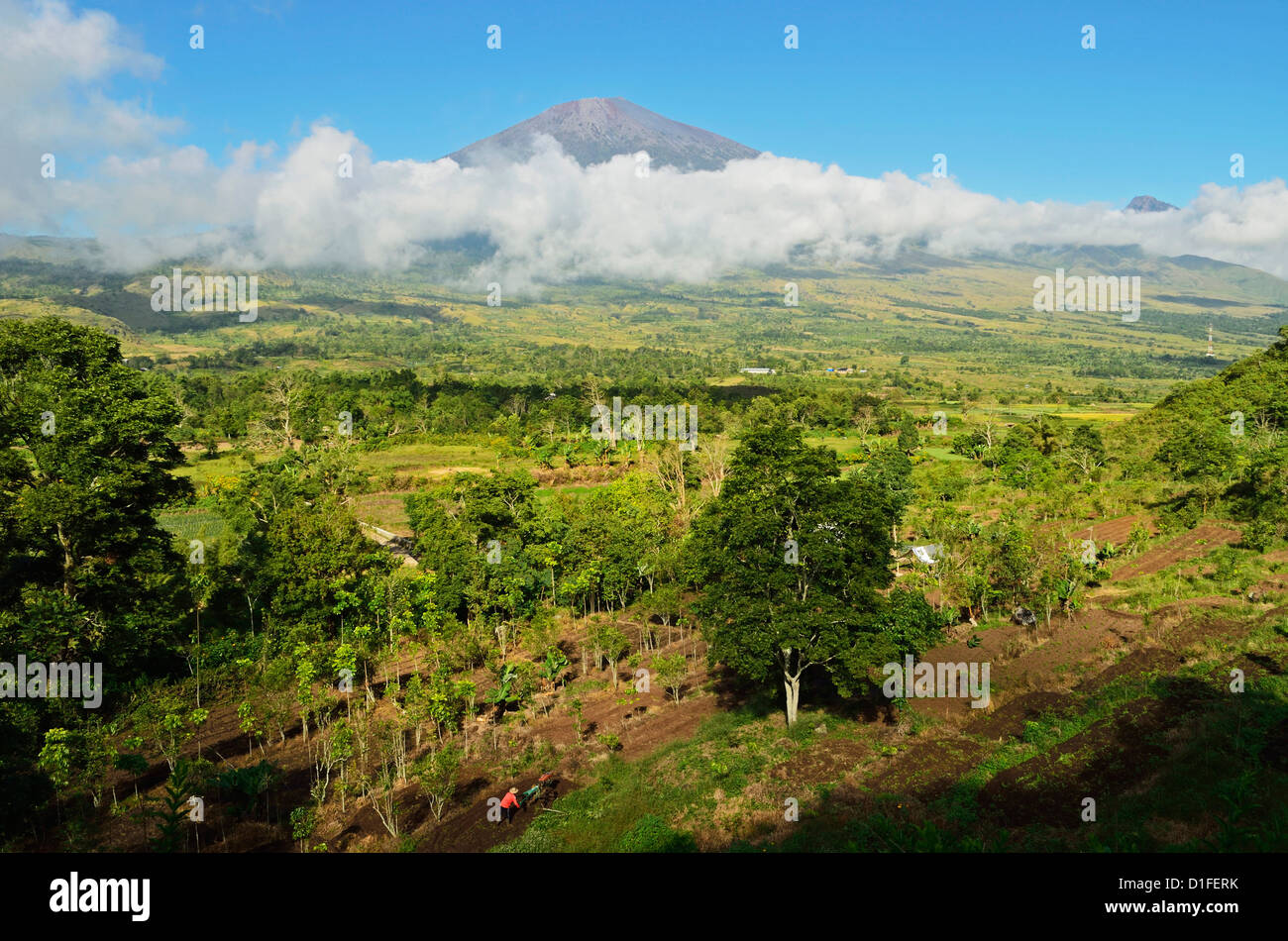 Vista del Monte Rinjani dal Sembalun Lawang, Lombok, Indonesia, Asia sud-orientale, Asia Foto Stock