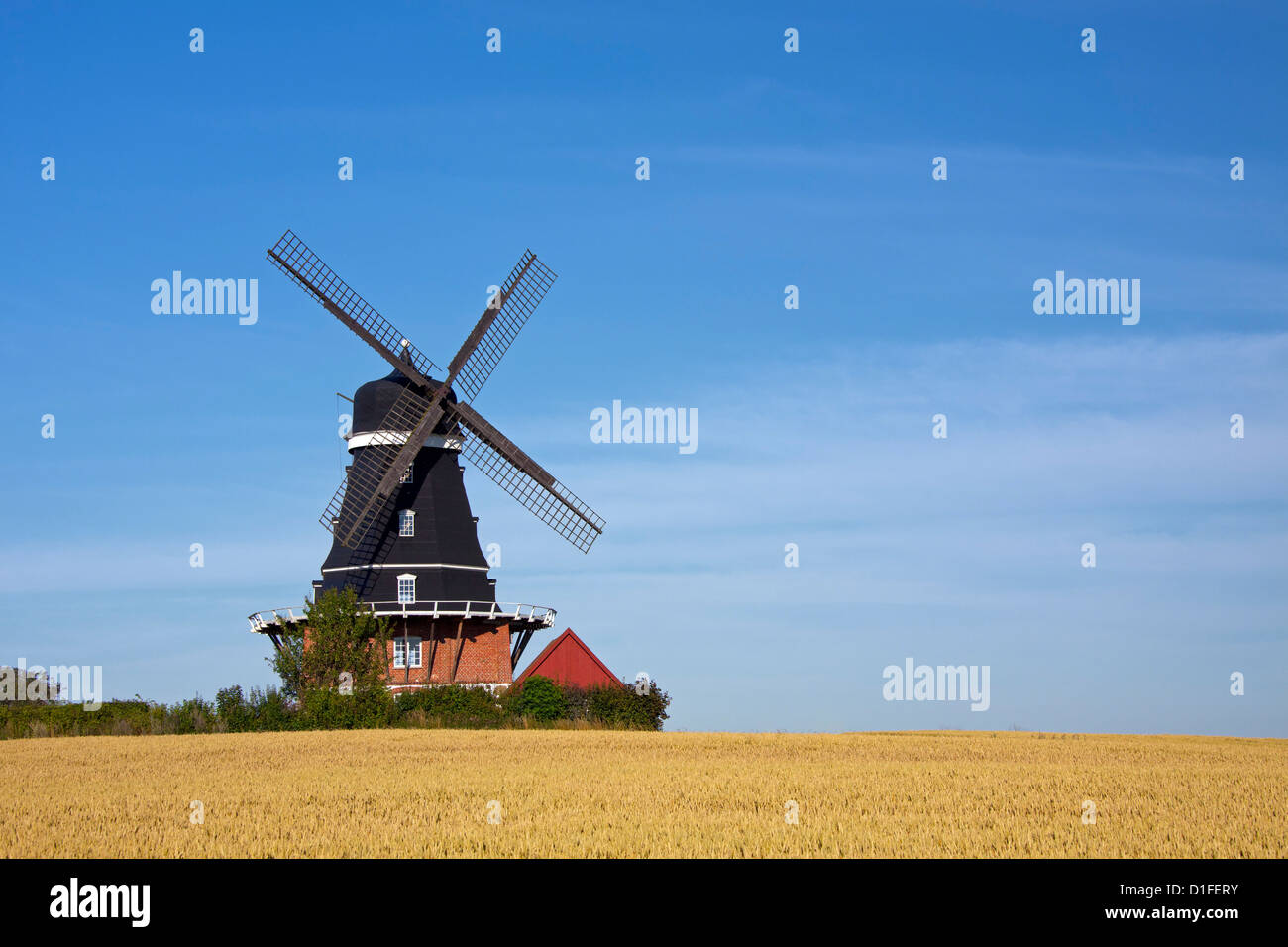 Mulino a vento tradizionale nel campo a Krageholm, Skåne, Svezia e Scandinavia Foto Stock