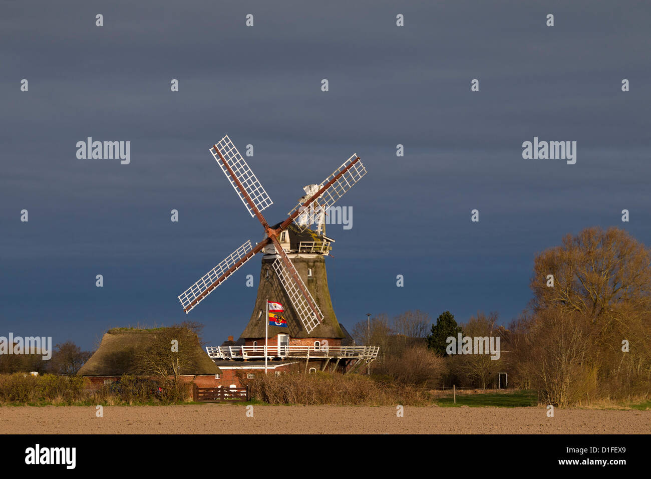 Mulino a vento tradizionale a Oldsum, Föhr, Frisia settentrionale, Schleswig-Holstein, Germania Foto Stock