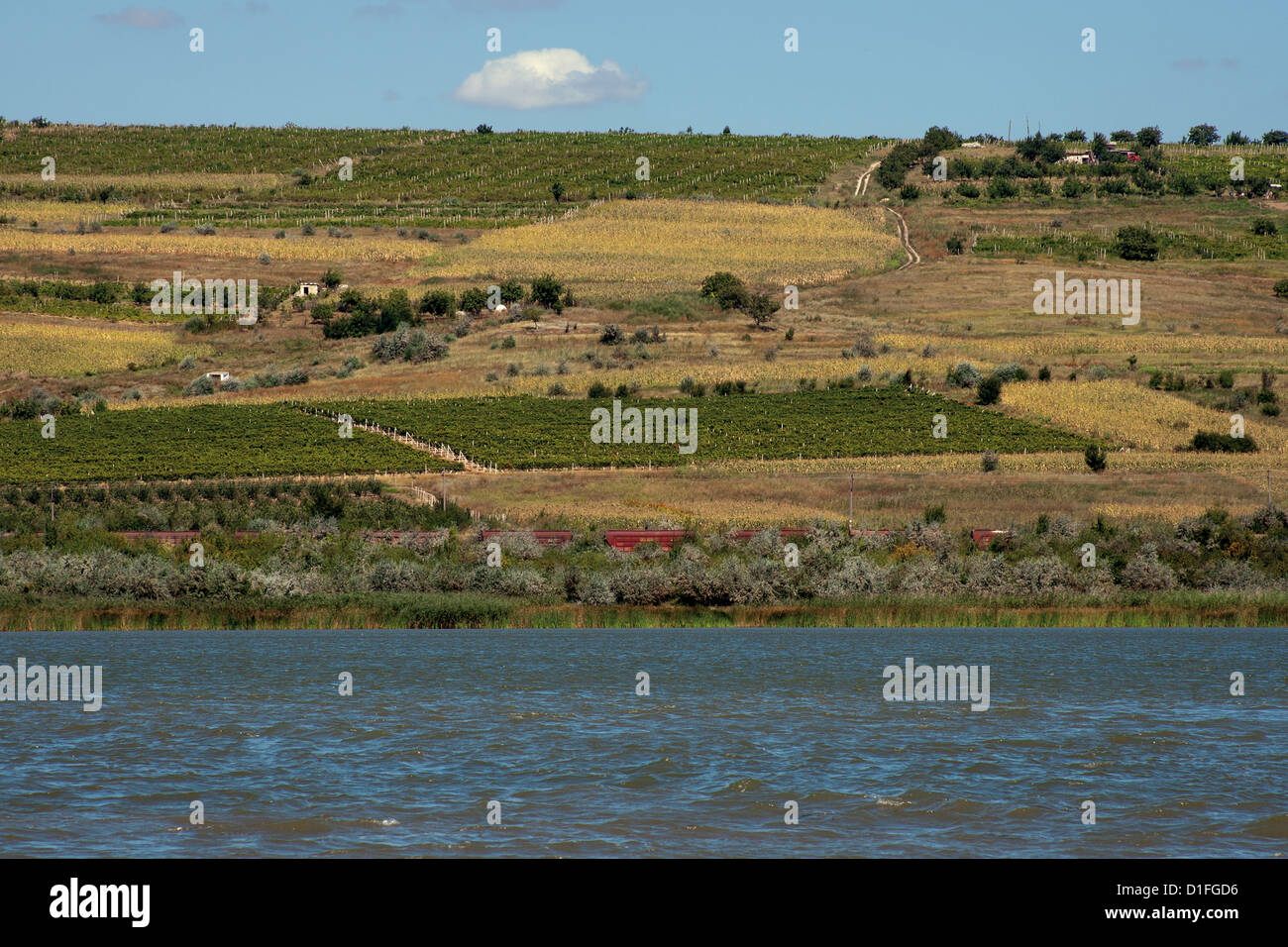 La Moldavia paesaggio con uve sulla collina, treno merci e il lago Foto Stock