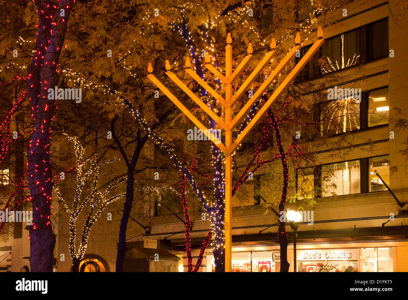 WA07923-00...WASHINGTON - Una Menorah tra le luci di Natale a Westlake Park nel centro cittadino di Seattle. Foto Stock