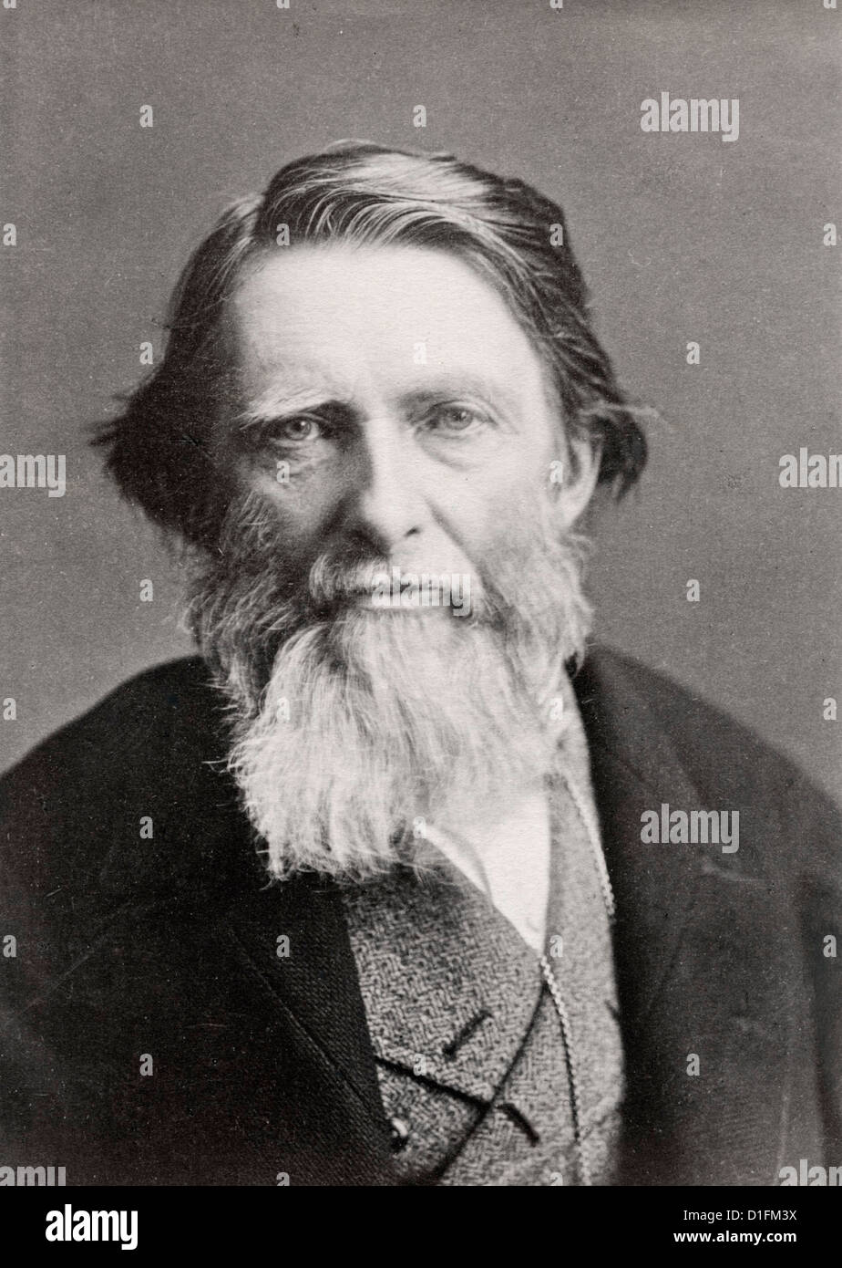 John Ruskin, 1882 Da Elliott & Fry Foto Stock