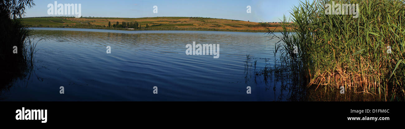 Panoramica del lago e rush in Moldavia Foto Stock