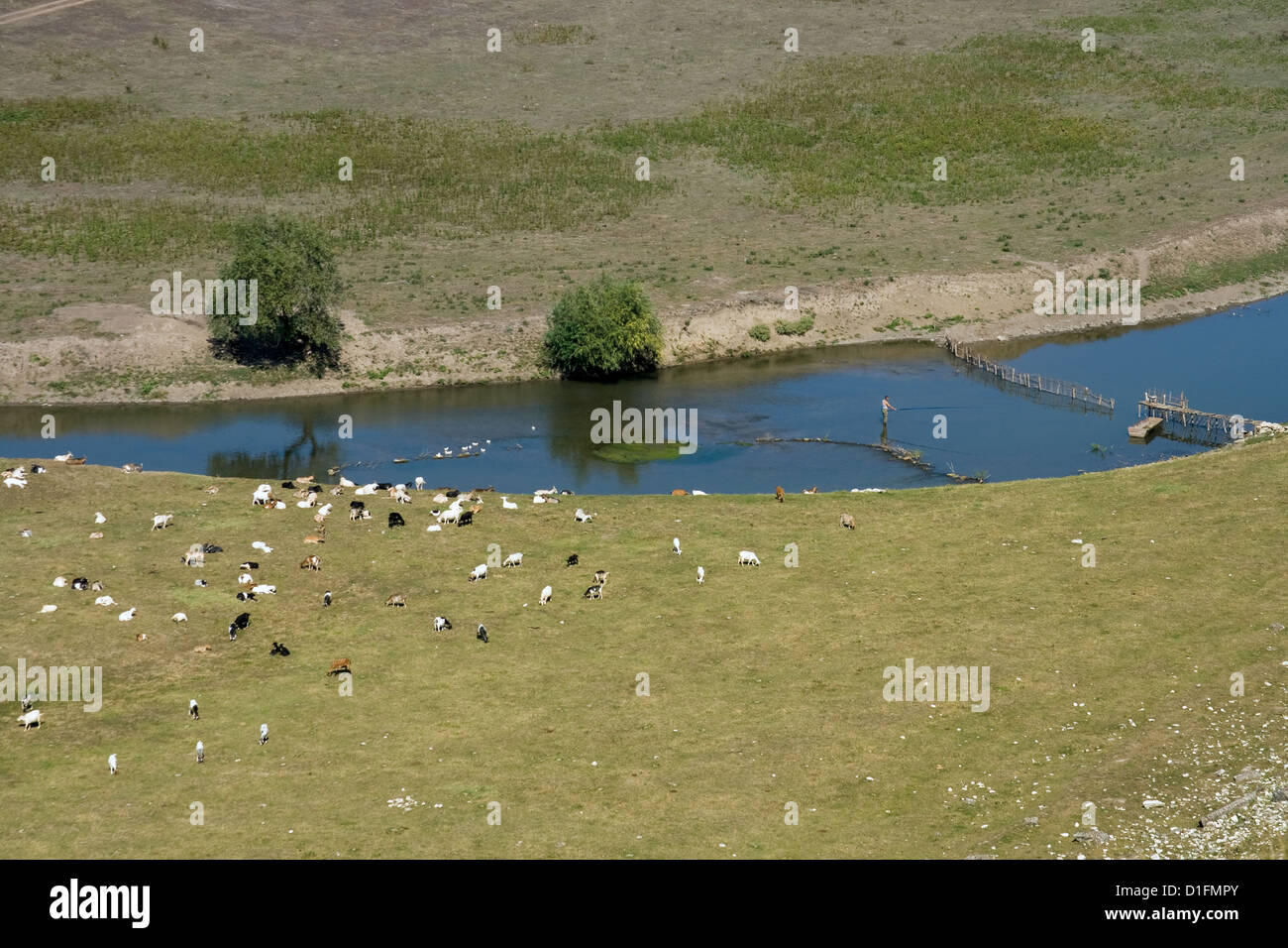 Paese idillico paesaggio con fiume, pecore pascolano e fisherman Foto Stock