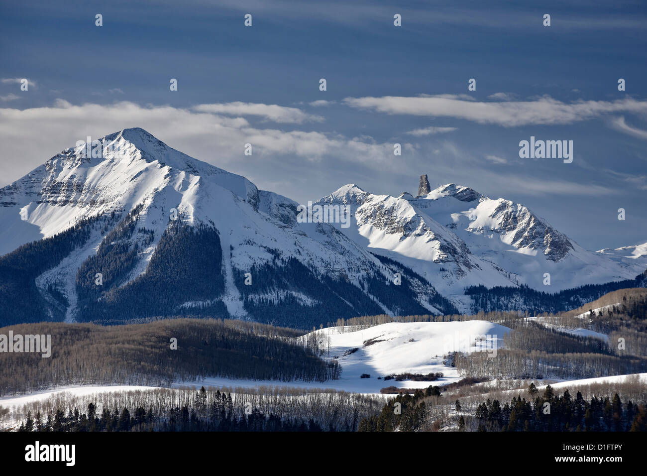 Testa di lucertola in inverno, Uncompahgre National Forest, Colorado, Stati Uniti d'America, America del Nord Foto Stock