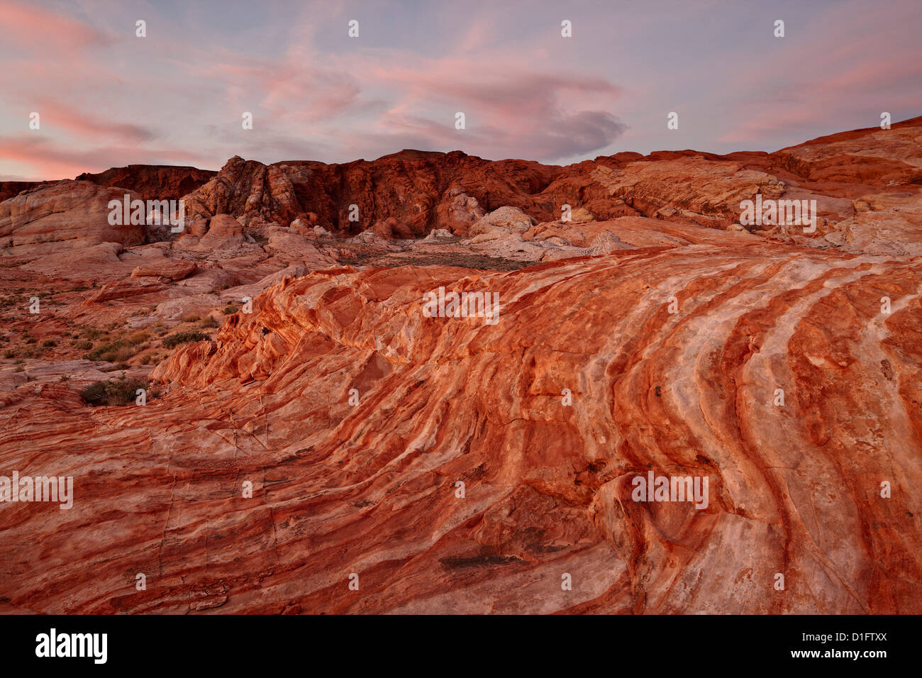 Arancione e bianco arenaria strati con le nuvole colorate all'alba, la Valle del Fuoco del parco statale, Nevada, Stati Uniti d'America Foto Stock