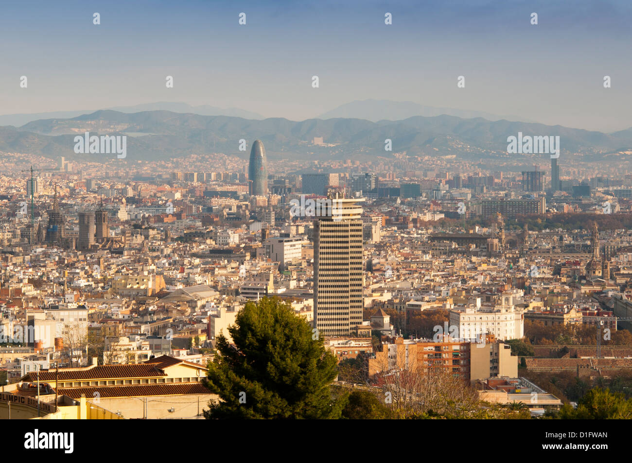 Vista di Barcellona Dal Mirador del Alcade, Barcellona, Catalunya (Catalogna) (Cataluña), Spagna, Europa Foto Stock