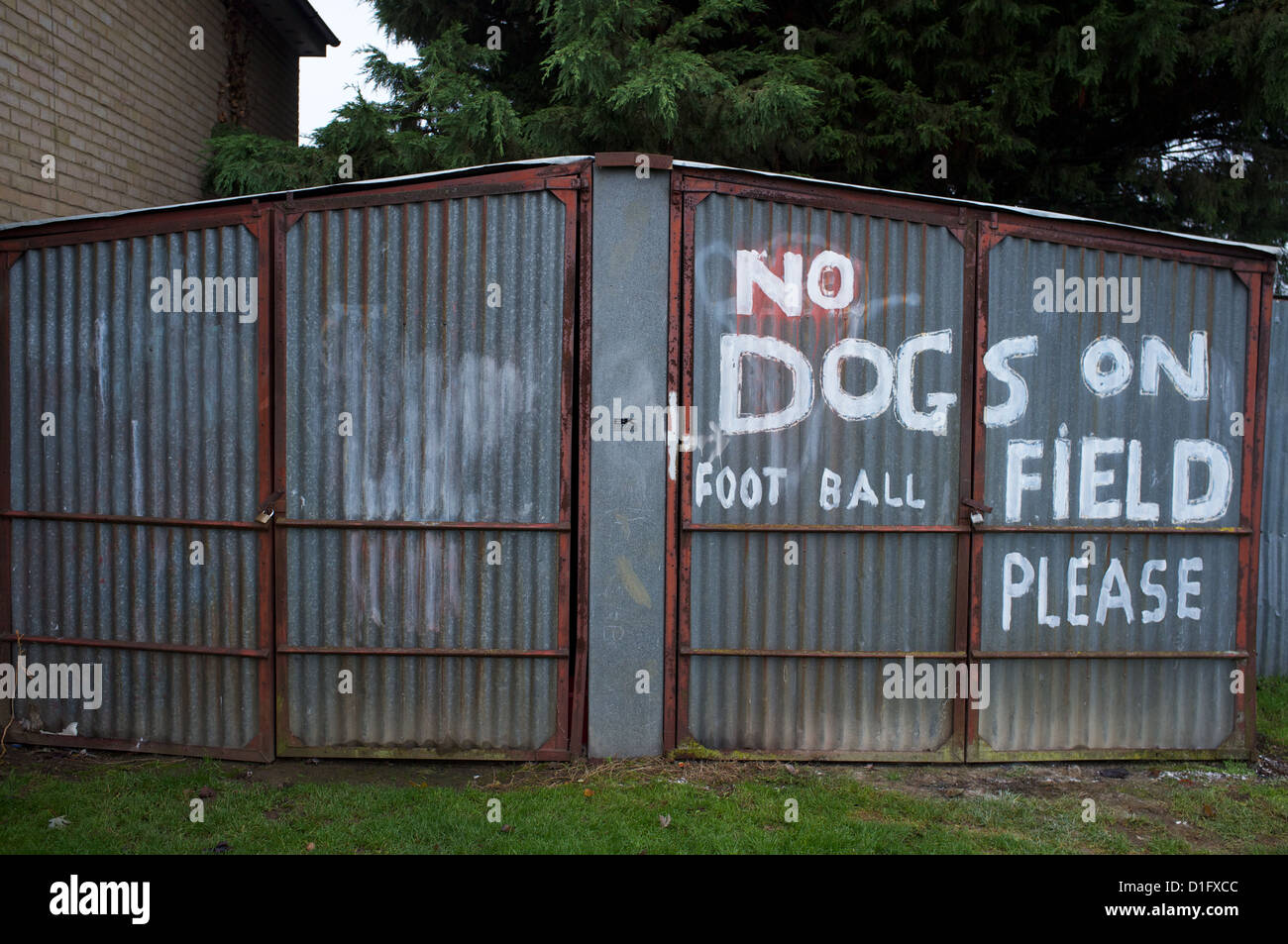 Cani non ammessi sul campo di calcio dipinta a mano segno Foto Stock