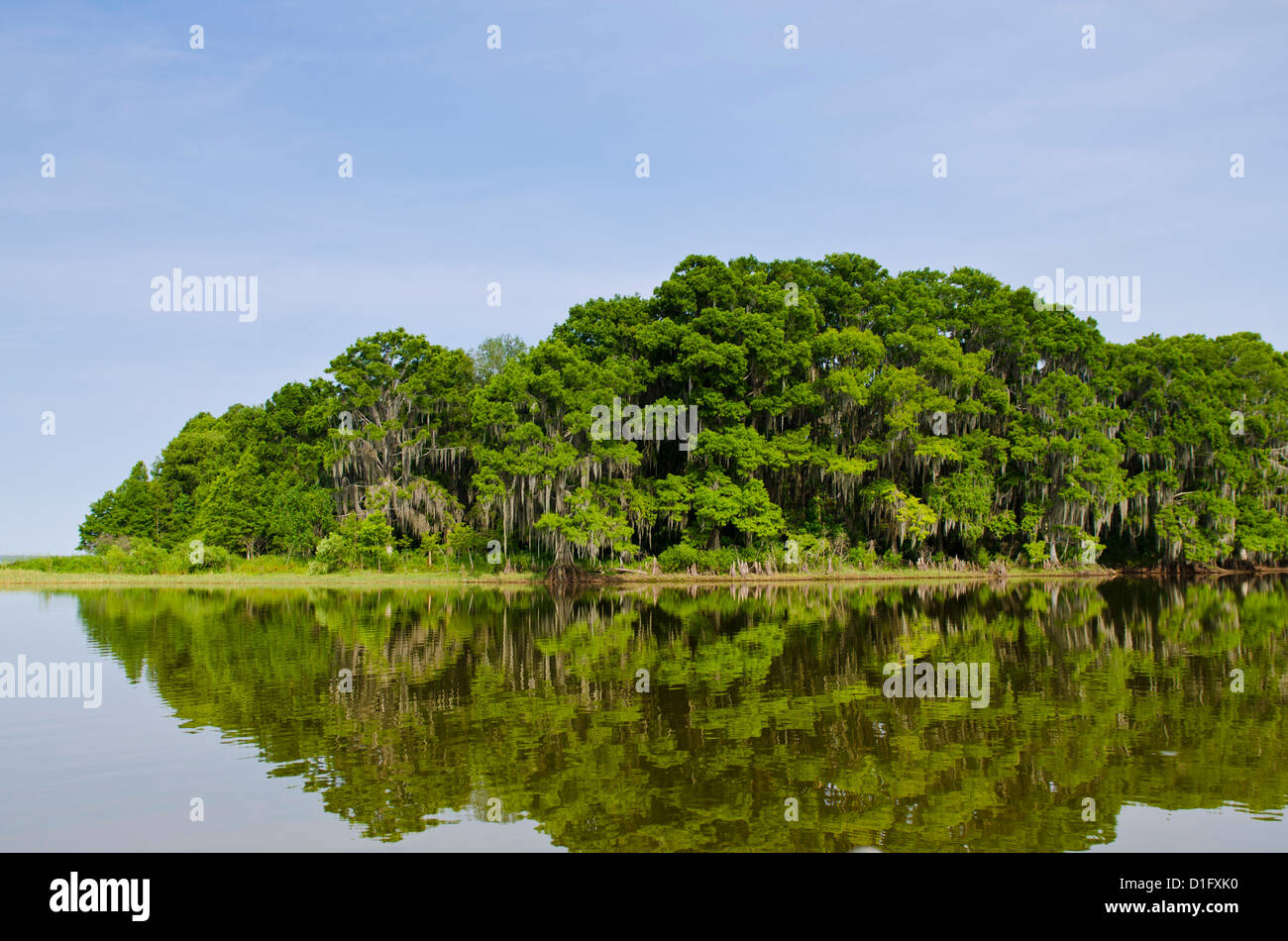 Everglades, Sito Patrimonio Mondiale dell'UNESCO, Florida, Stati Uniti d'America, America del Nord Foto Stock