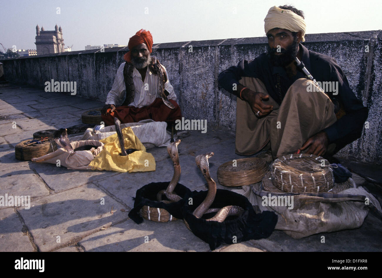 I membri di una antica tribù di incantatori di serpenti noto come saperas, che attraverso le generazioni hanno prosperato sulla cattura serpenti velenosi e rendendoli danza per la loro musica nella foto con serpenti cobra in strada a Mumbai India Foto Stock